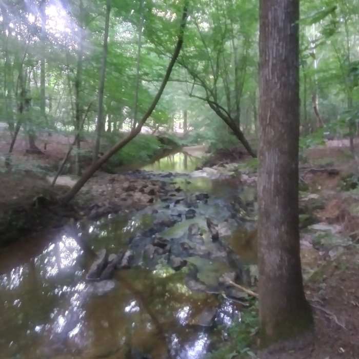 Near Honeycutt Creek Greenway Trail