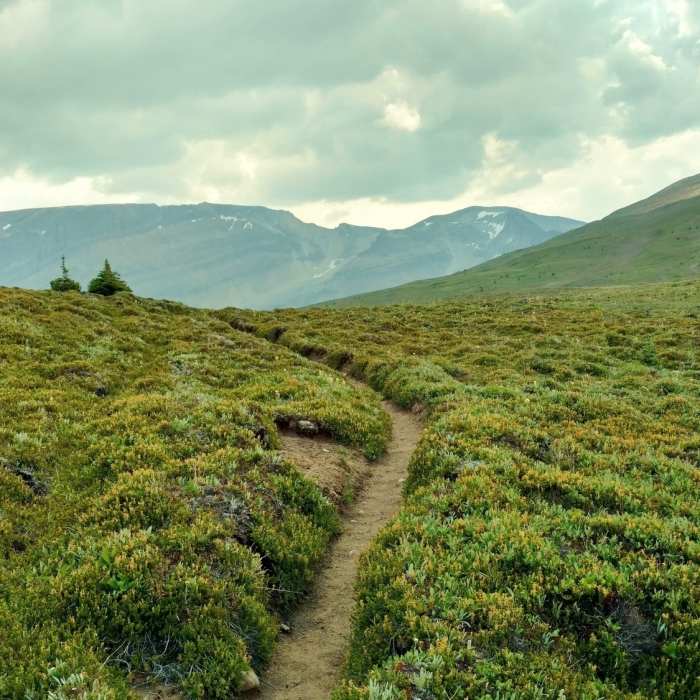 Near Poboktan Pass Trail