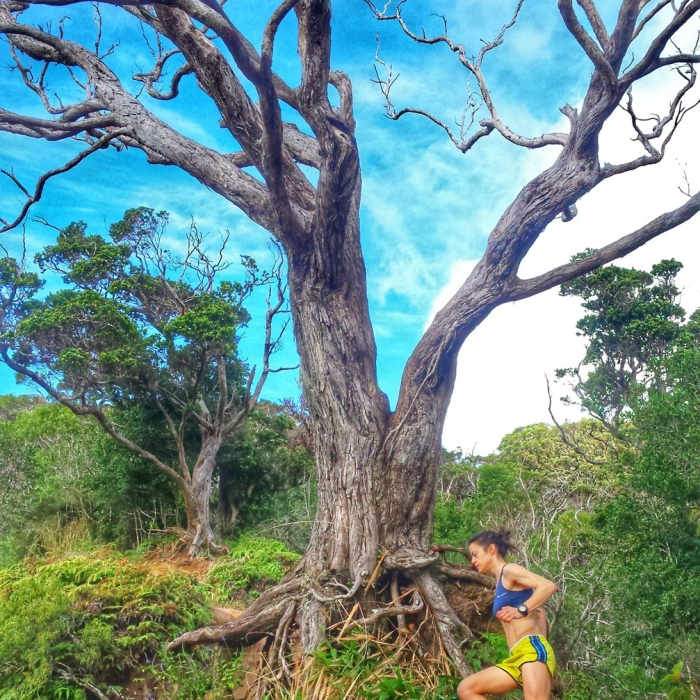 Making the turn on the Aiea Loop Trail. Near Aiea Loop