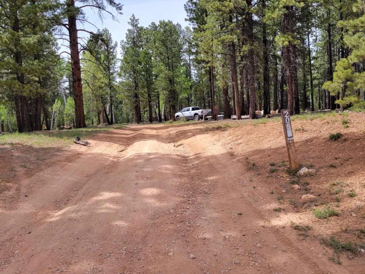 Tommy Loop Access photo 5