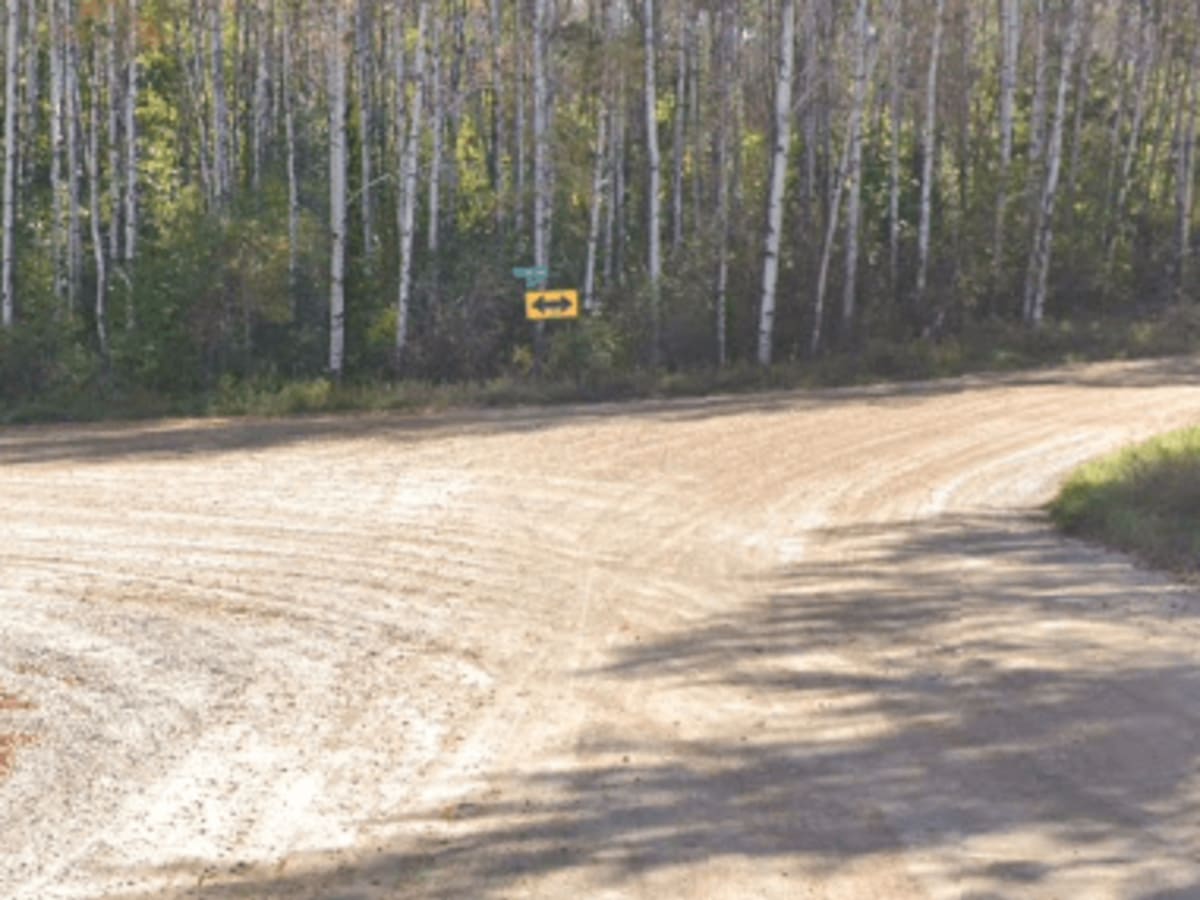 New Horizons - Gravel photo 2