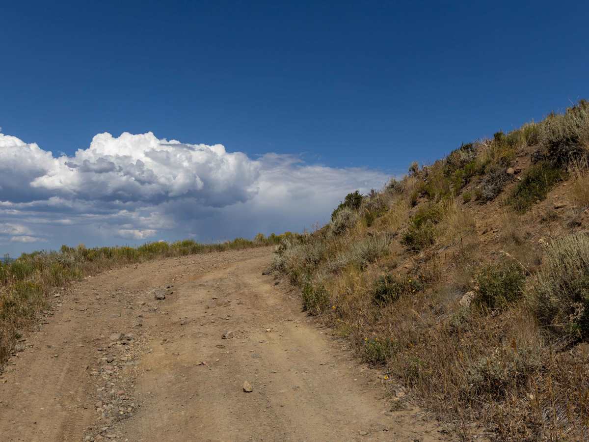 Williams Peak Road photo 3