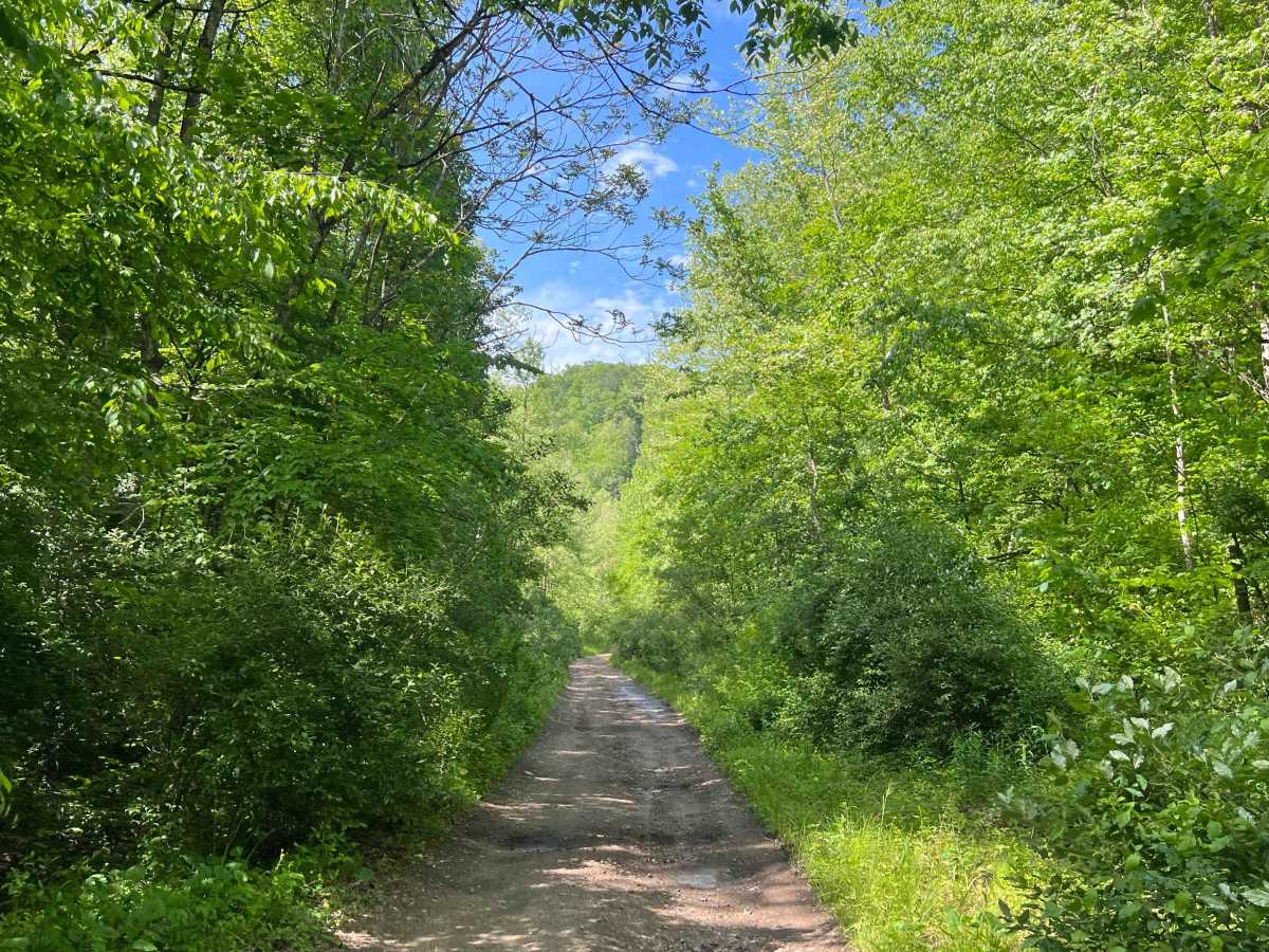 Bufflick Branch Trail - Q76 photo 2