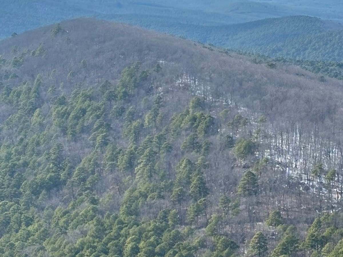 Flatside Pinnacle  photo 6