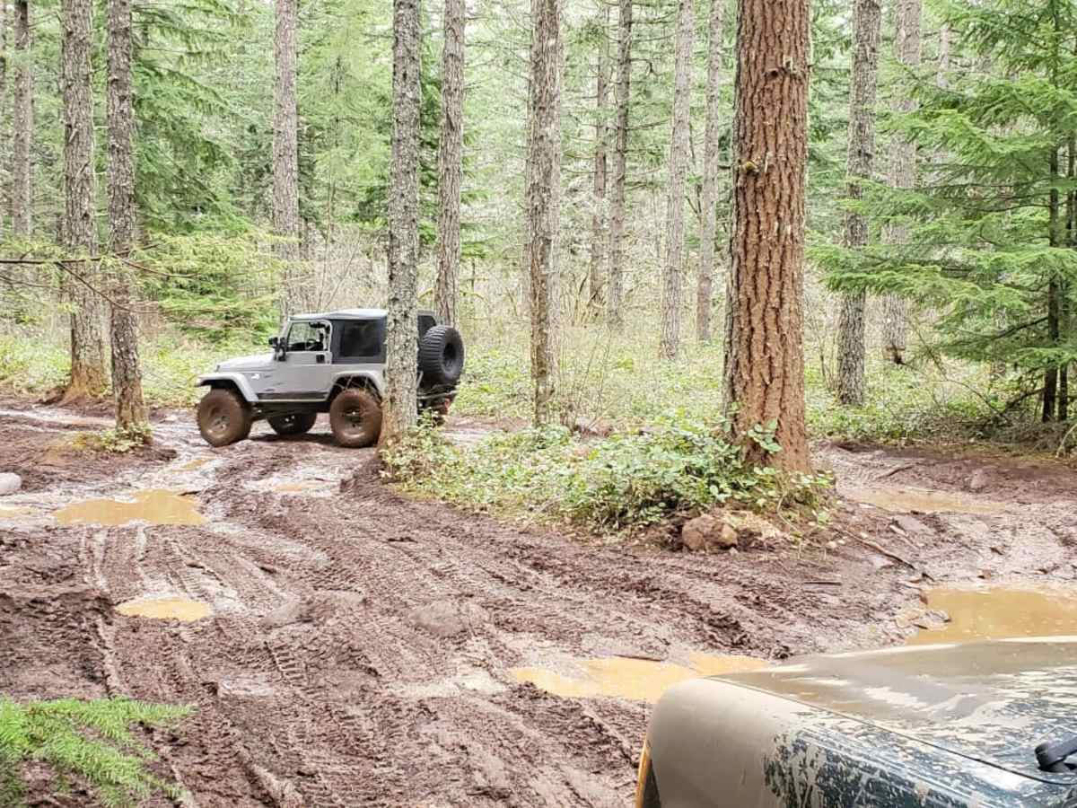 Trail 800 photo 4