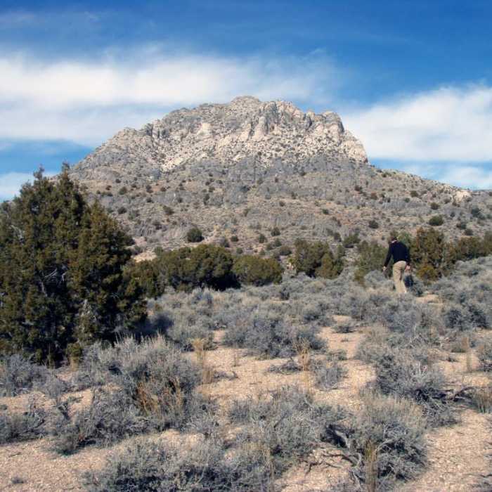 Near Oak Springs Trilobite Site Near Oak Springs Trilobite Site