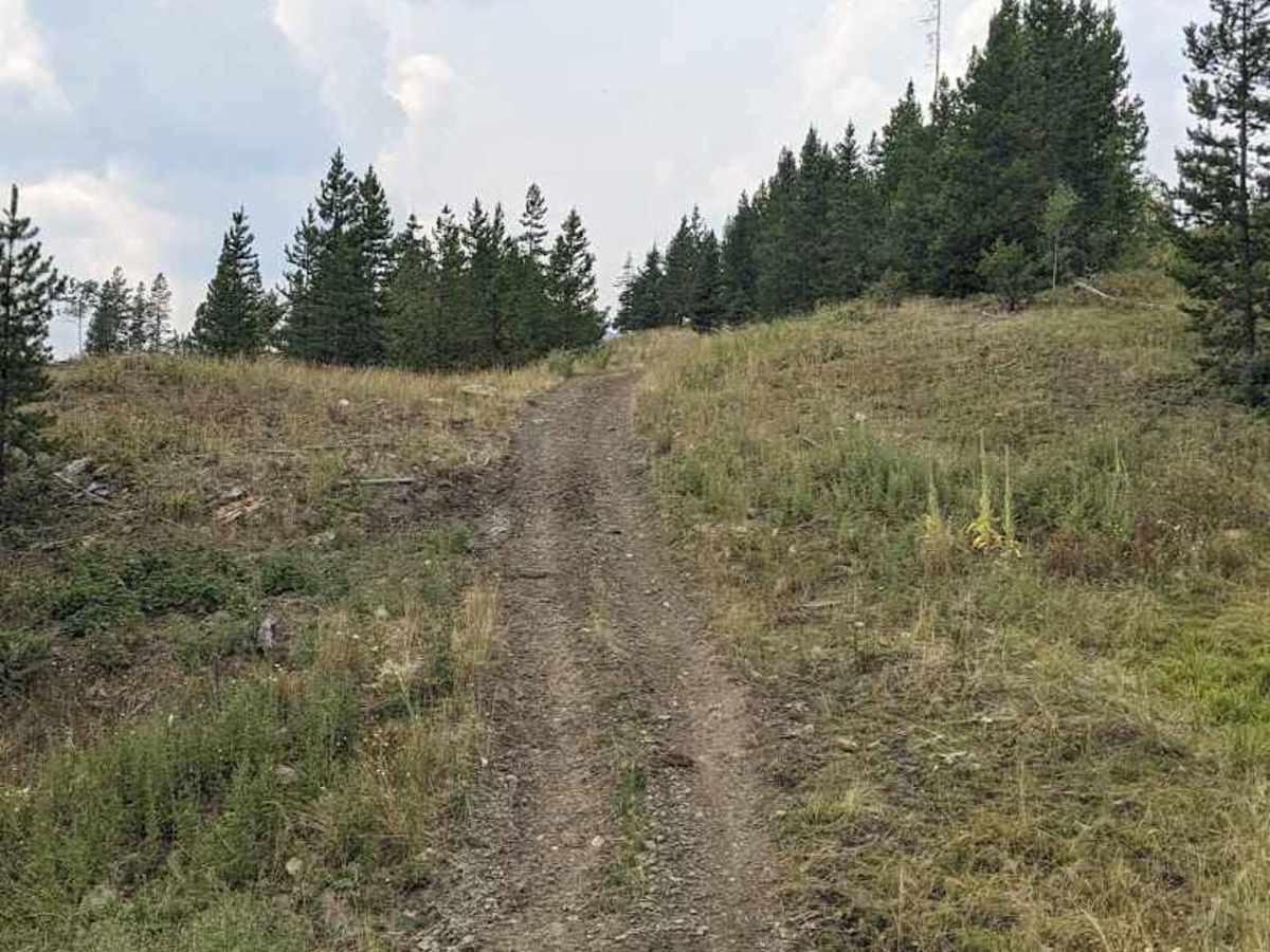 Wintering Mountain Trail 229 photo 3