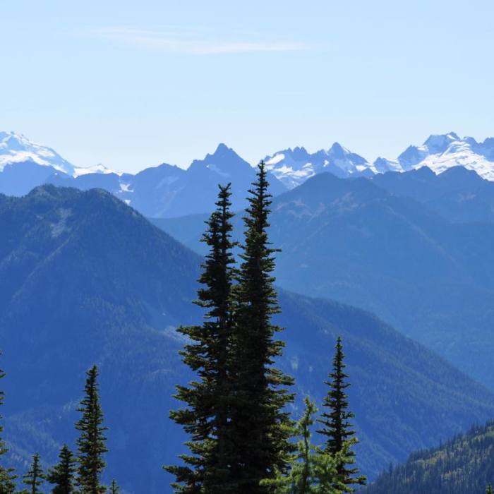 Near Maple Pass Loop