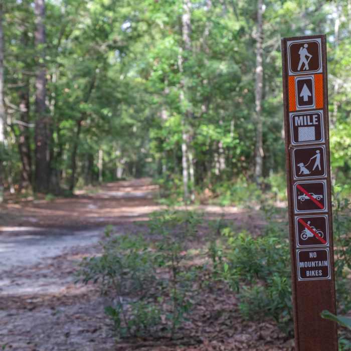 Near Battery Trail Near Battery Trail