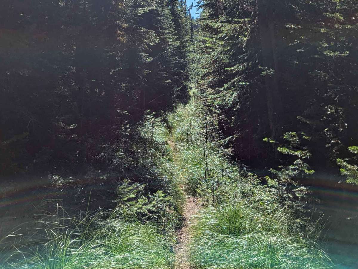 Ninemile Divide Trail photo 3