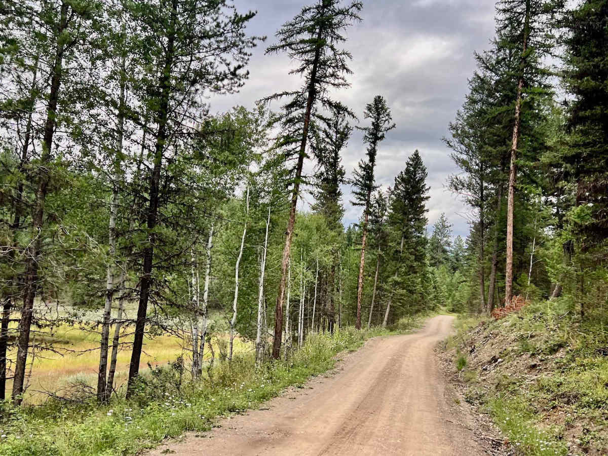 Suzanne Lake Road photo 6