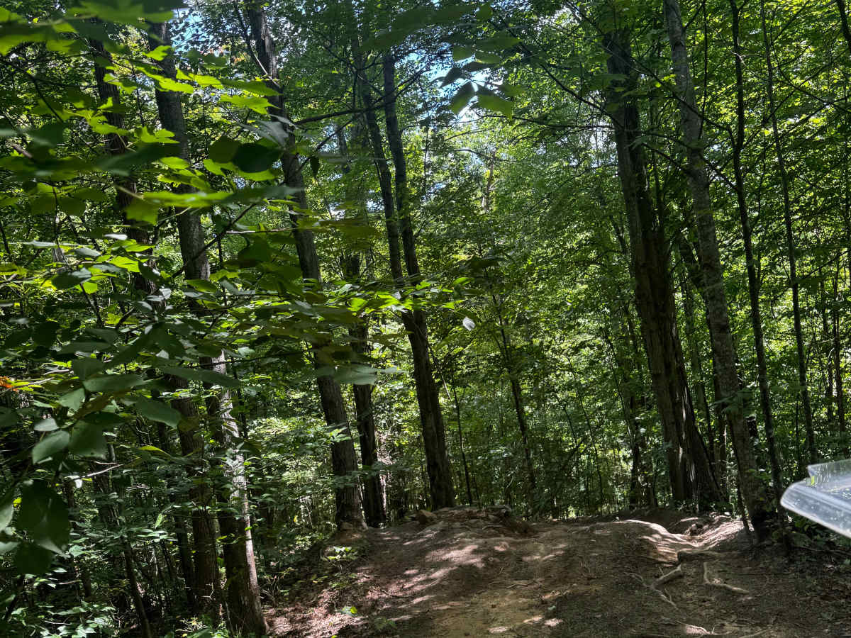 Trail 11A photo 2