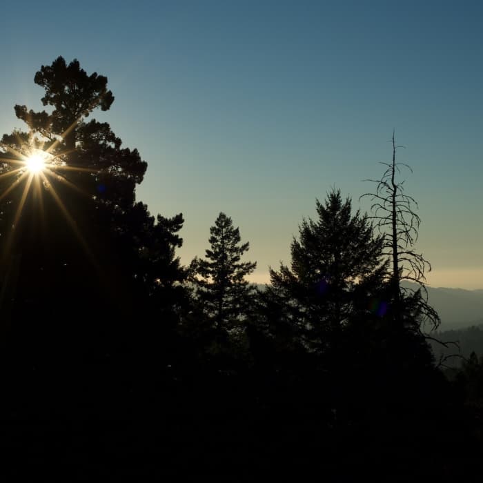 Near Achistaca Trail
