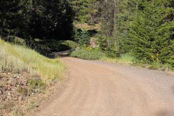 Wilson Creek Road - FS 3517