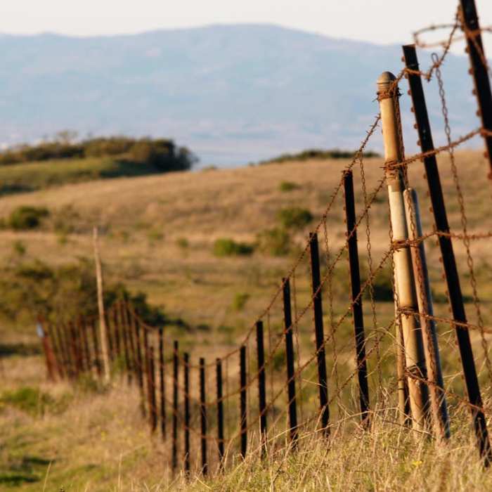 Near Nimitz Way Trail