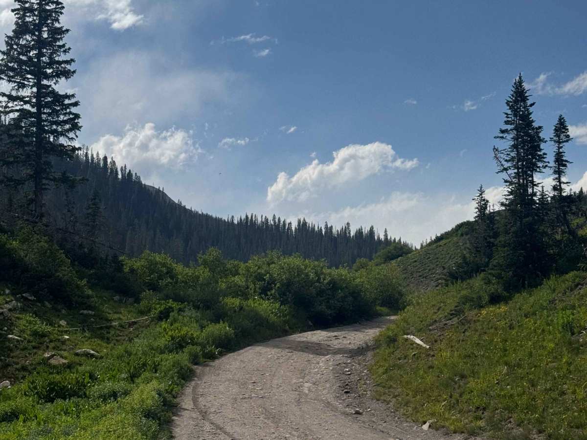 Emerald Lake Road photo 6