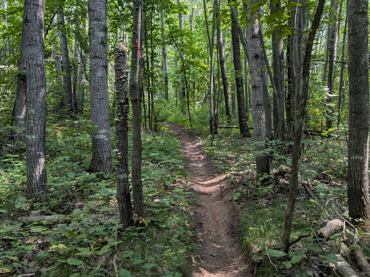 Outer Loop trail photo