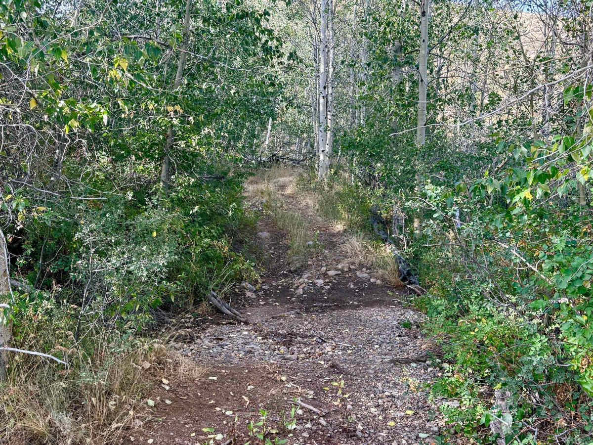 North 5 - FS 16479 photo 2