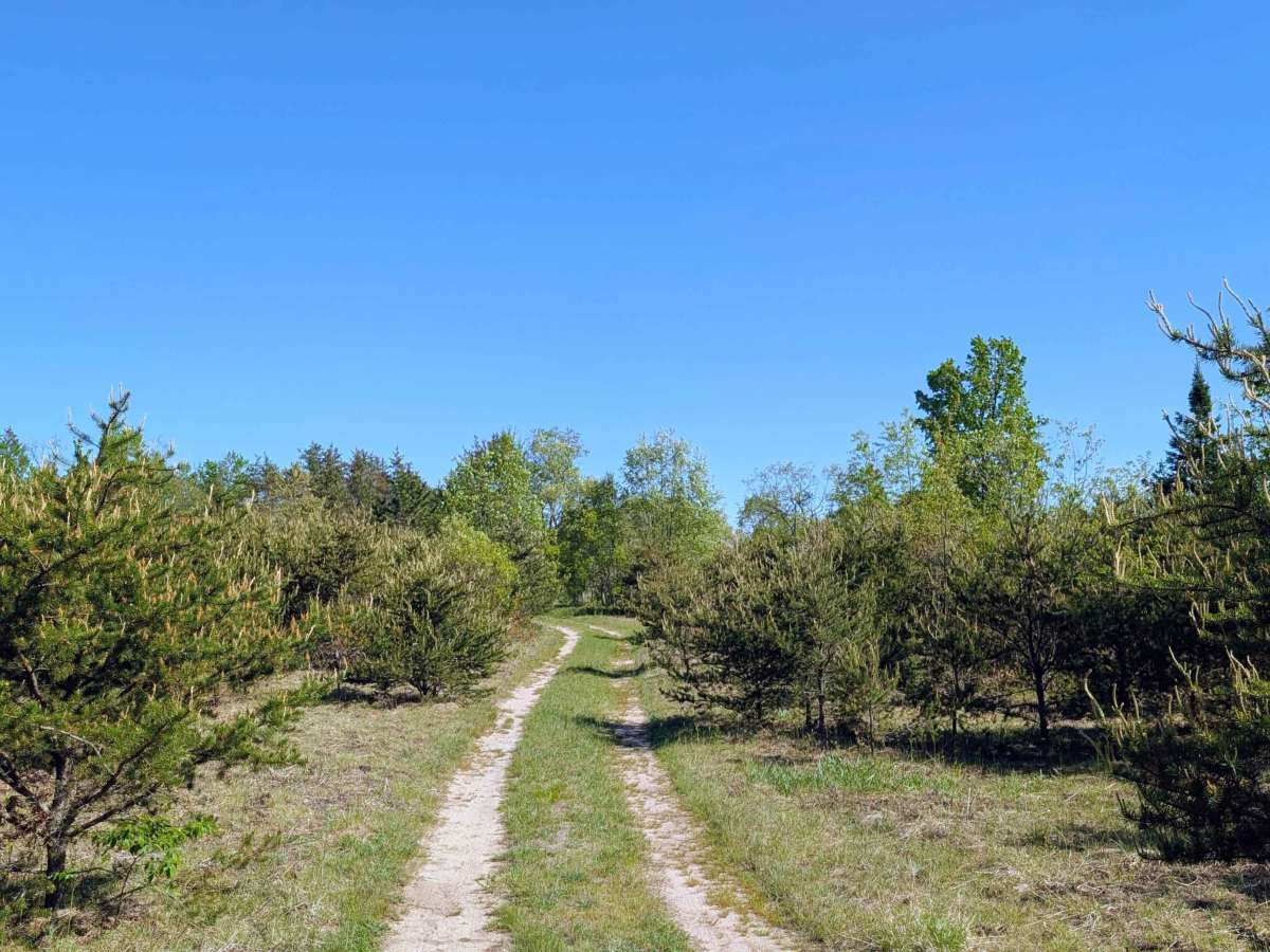Huntfield Trail photo 2