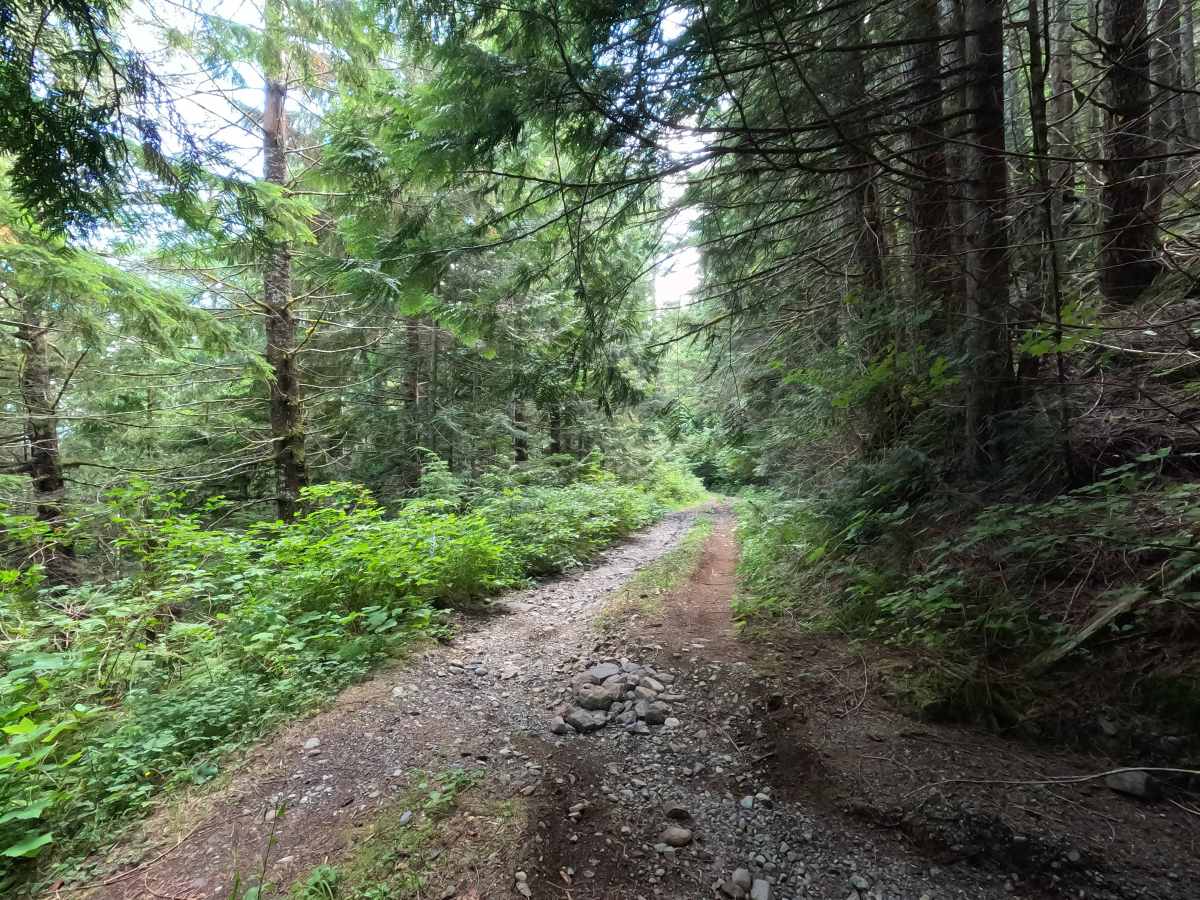 Sandy Creek - FS 1124 photo 4