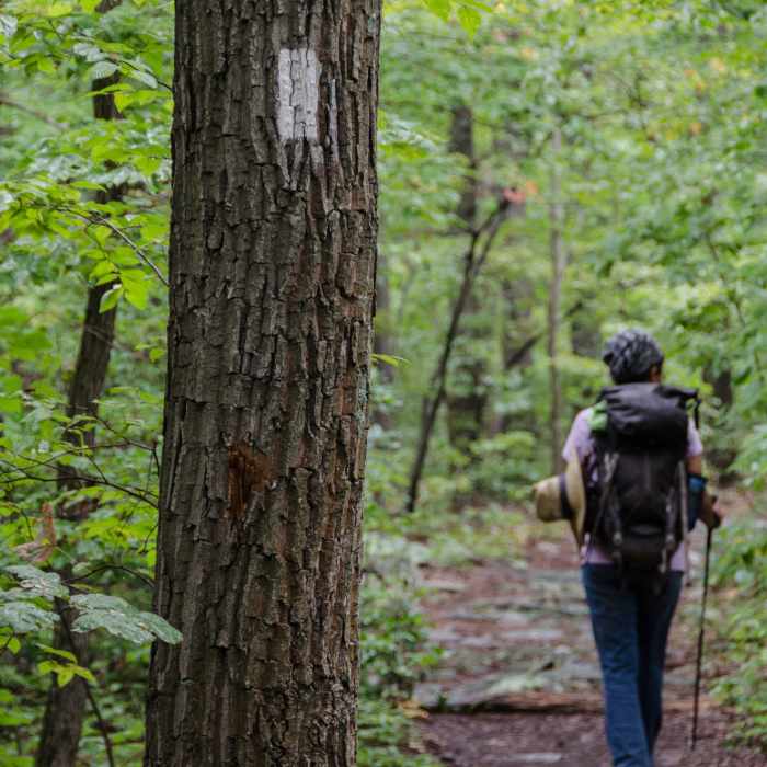Near Appalachian Trail: South Mountain