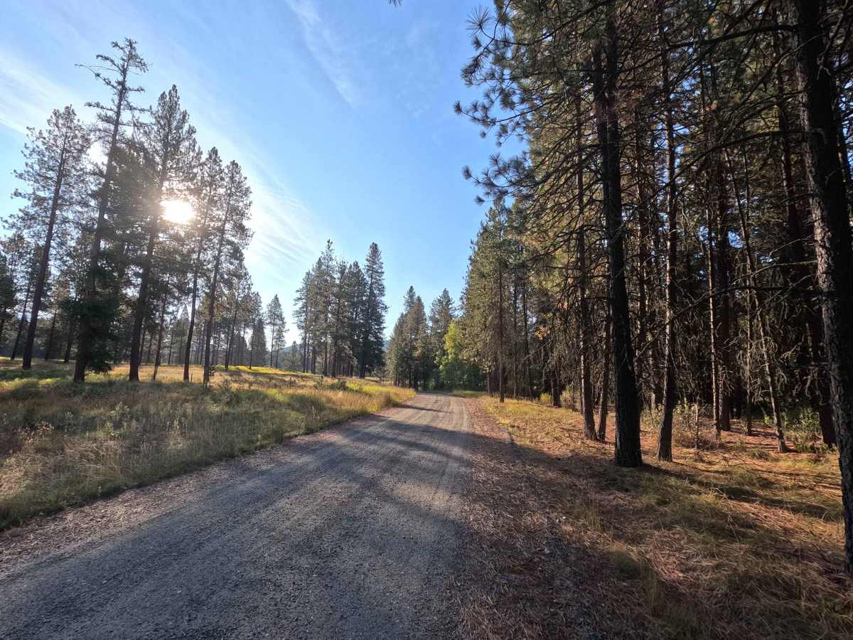 Bear Creek Road photo 5
