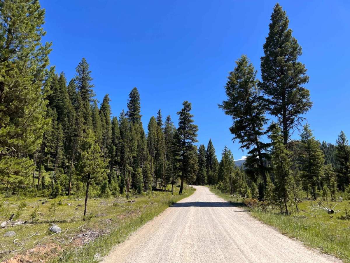 Little East Fork photo 5