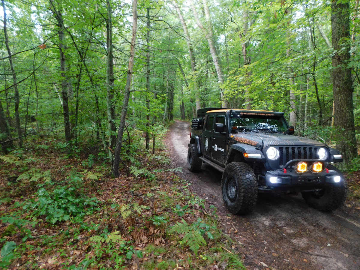 Linderman Road Forest Route photo 5