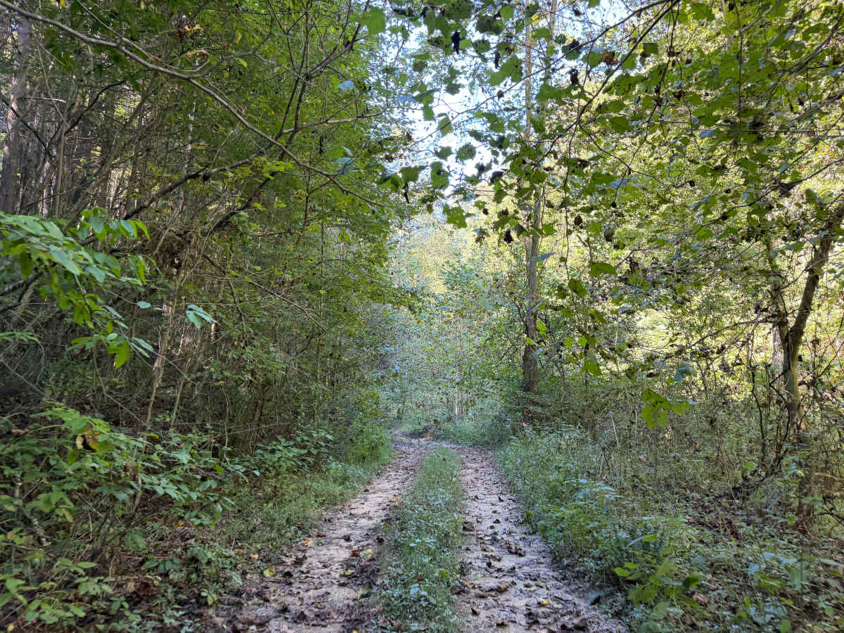 64 photo 3