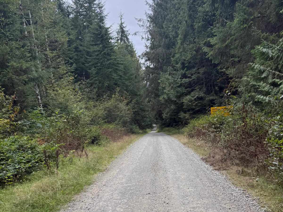 FS 2180010 trail photo