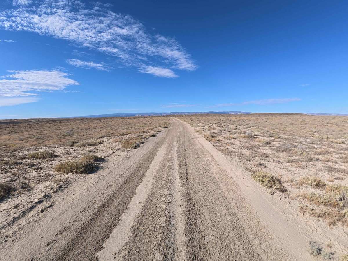 BLM 181 photo 2