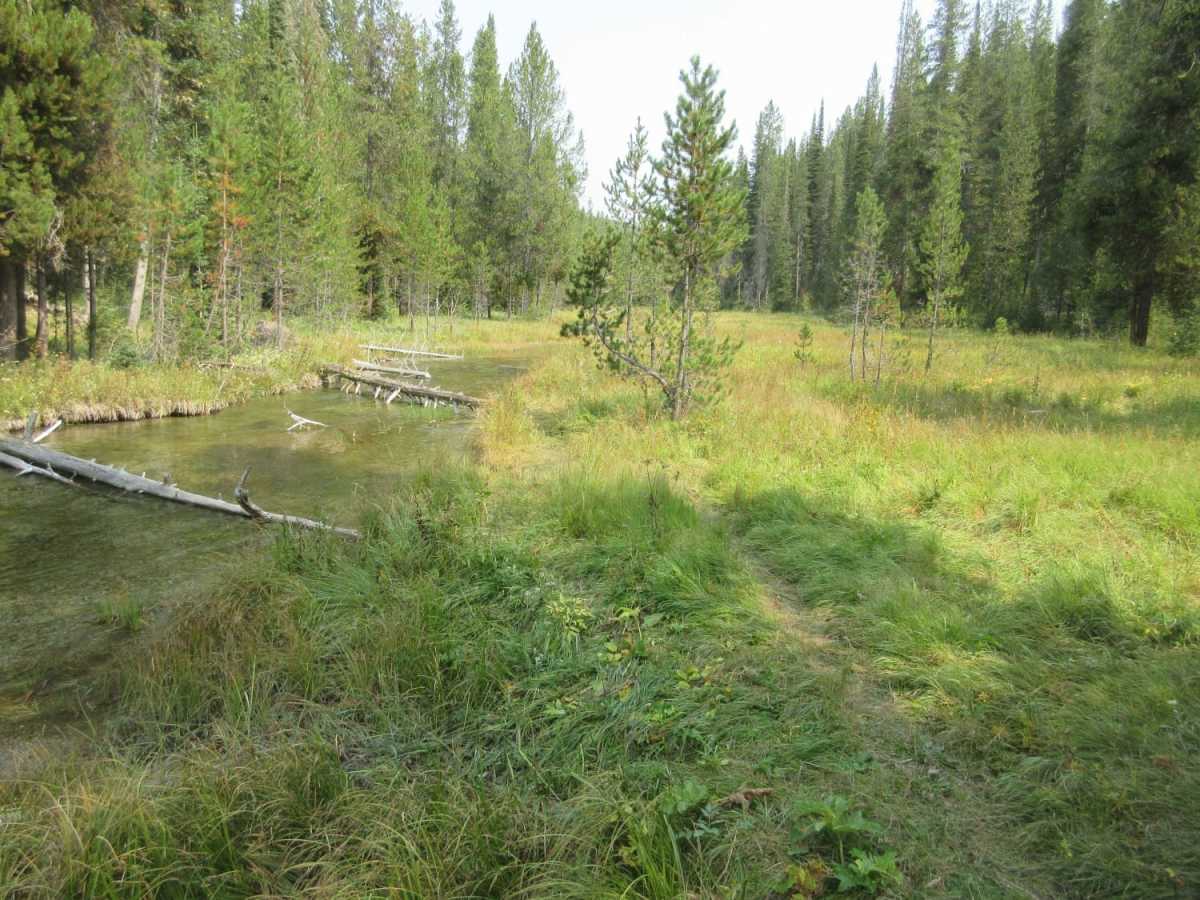 Buffalo River via Fish Creek photo 3