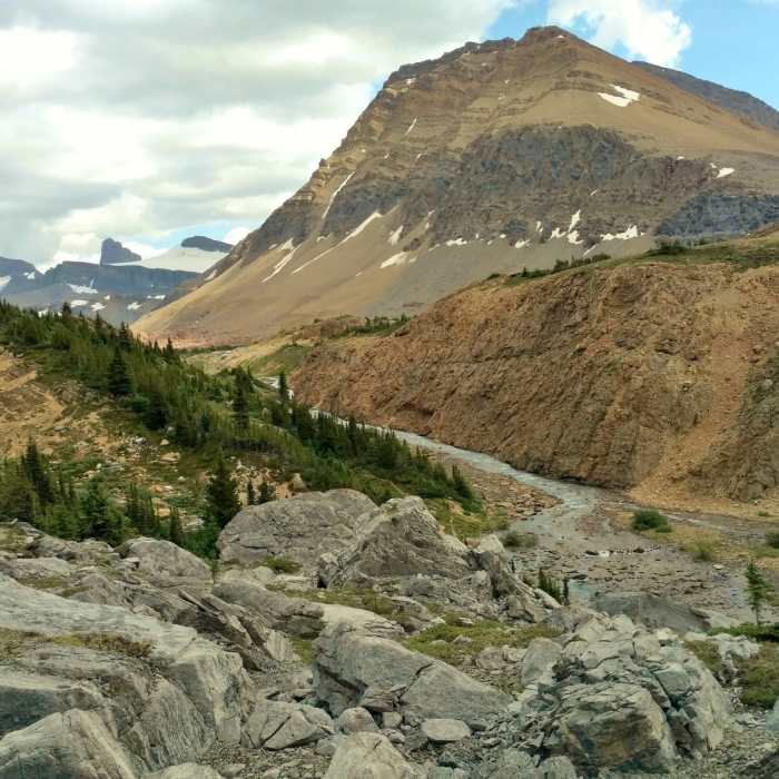 Near Great Divide Trail - Section E (Saskatchewan Crossing to Jasper)
