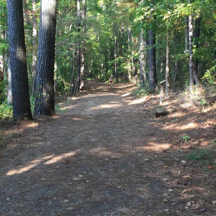 The section of trail on the north side of Lake Johnson follows a maintenance access road and is very wide and flat. Near Lake Johnson - West Loop