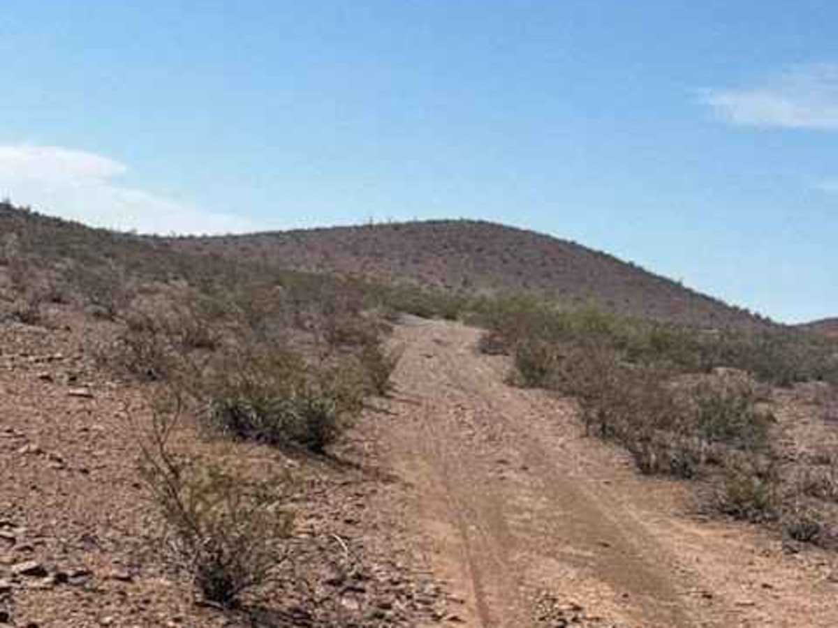 BLM PE1031 photo 6