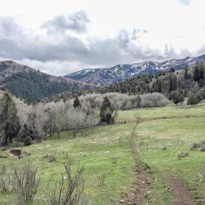 Near Willow Creek/Little Cottonwood