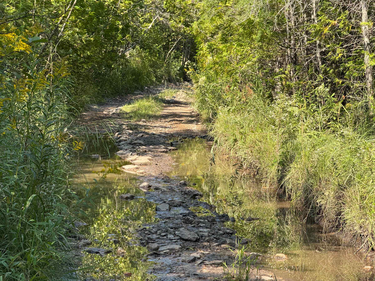 Reynolds Bay Trail photo 6