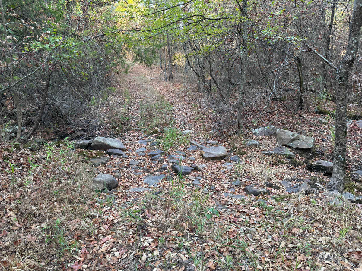 Corley A photo 3