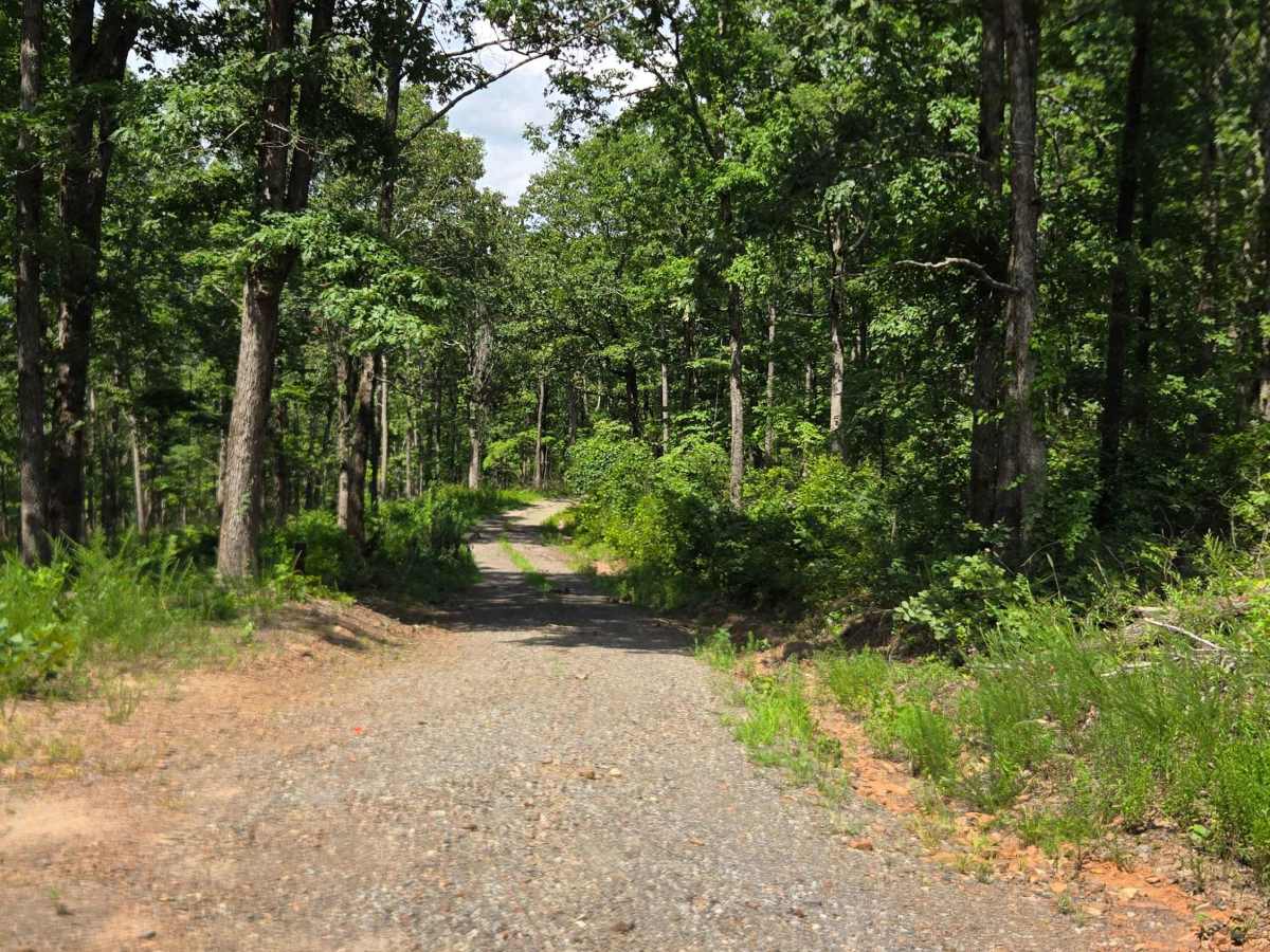 Trickshot Circle Road trail photo