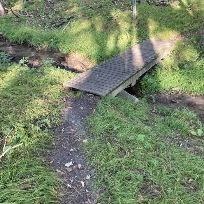 Near Hiking Club Trail at Big Stone Lake State Park Near Hiking Club Trail at Big Stone Lake State Park