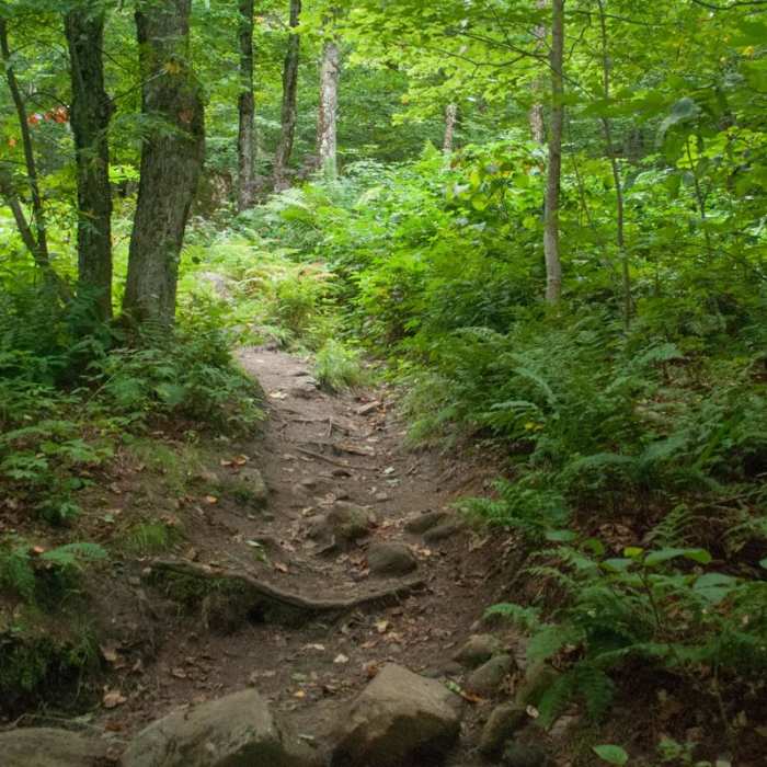 Near Mount Arab Hike Near Mount Arab Hike