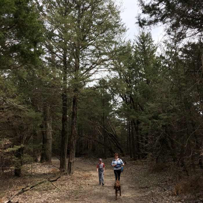 Near Main Trail - Lakeside Trail Connection
