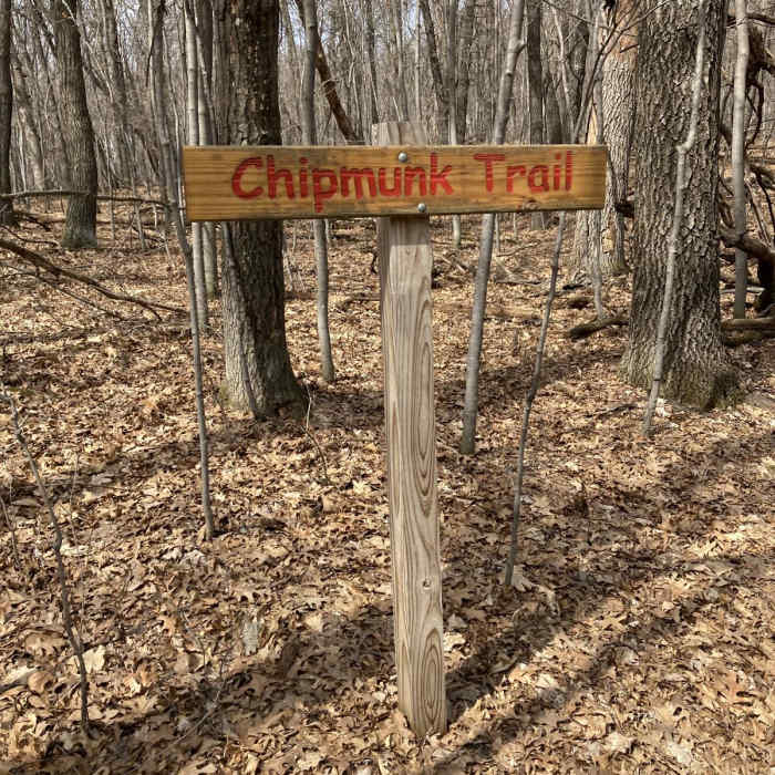 Near Linwood School Forest Trails Loop