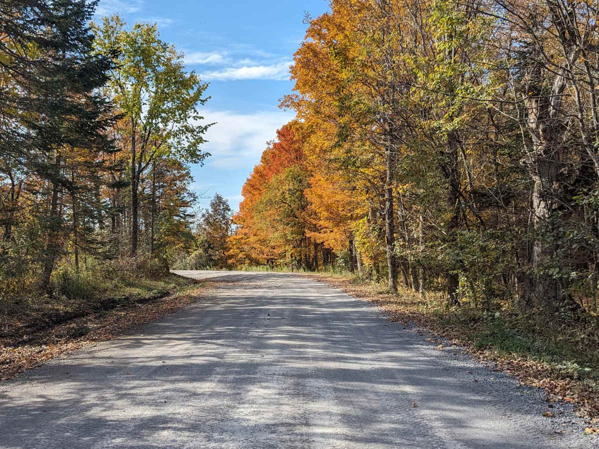 Lake George Road photo 2