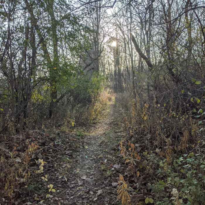 Near Ice Age Trail: Slinger Segment