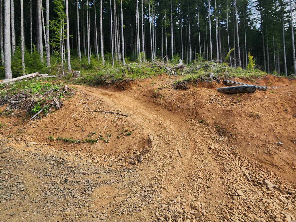 Divide Trail North photo 2