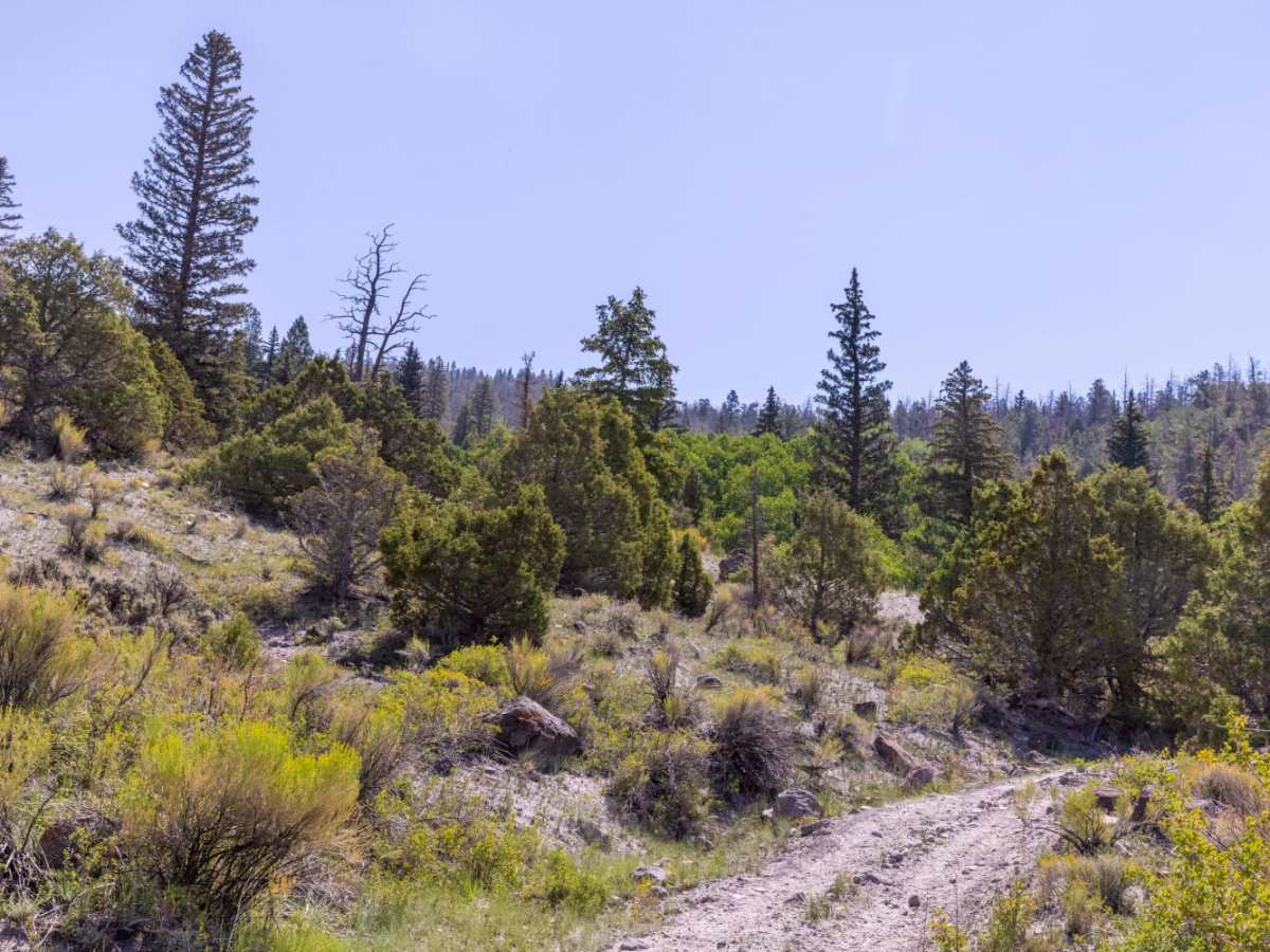 Blind Lake Trail photo 2