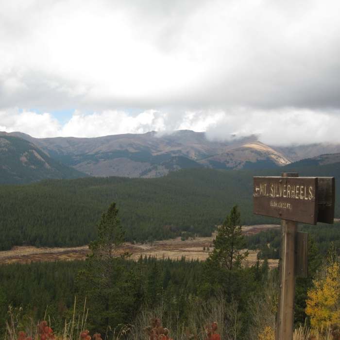 Near Boreas Pass Road
