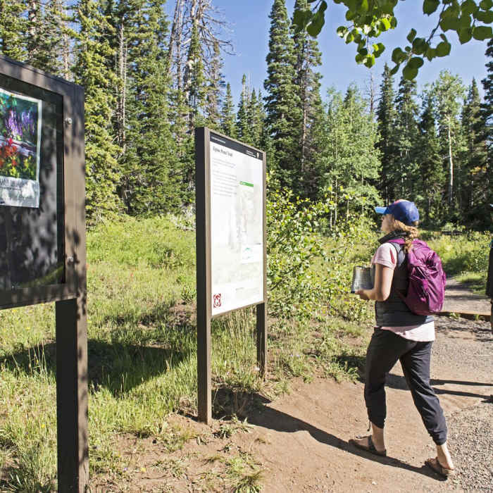 Near Chessman Loop Trail