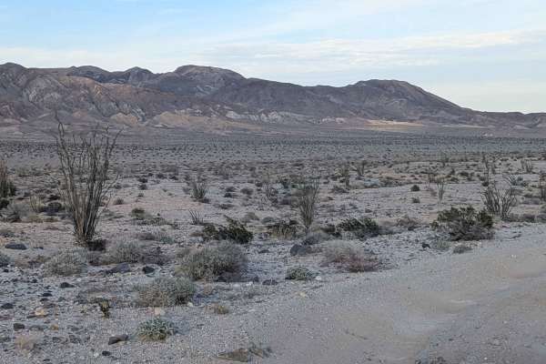 BLM 109 North